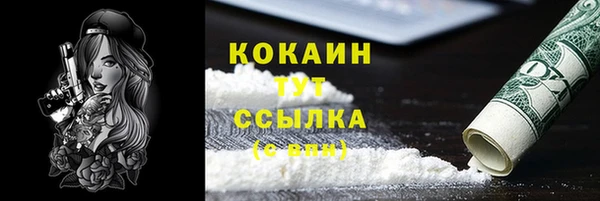 эйфоретик Ладушкин