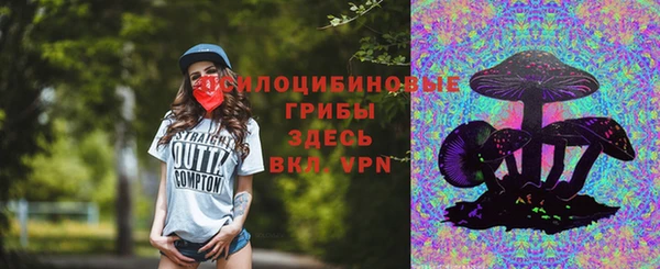 дурь Лагань