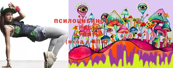 эйфоретик Ладушкин