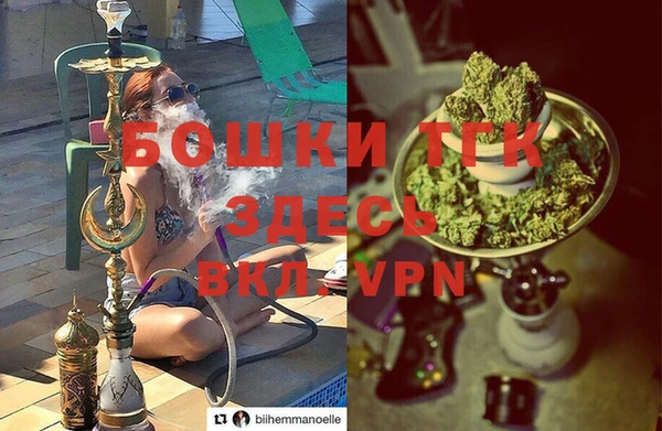 дурь Лагань