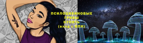 эйфоретик Ладушкин