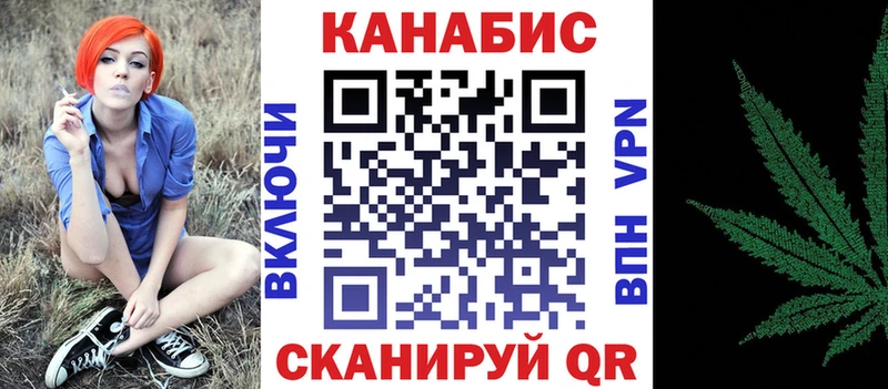 Конопля план  купить  цена  Сураж 